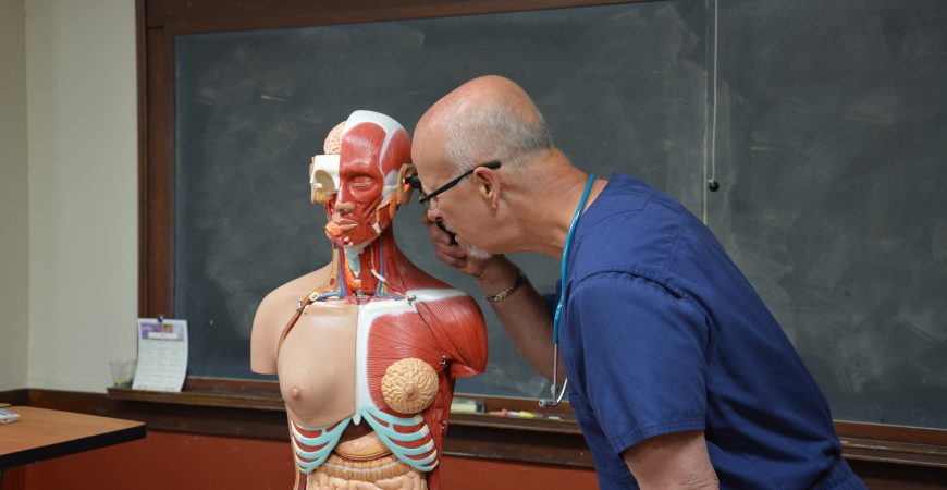 Marvin Van Der Wiel examining a human medical mannequin